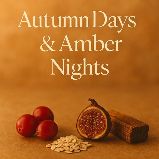 SkyBox Subscription Skincare Boxes 📦