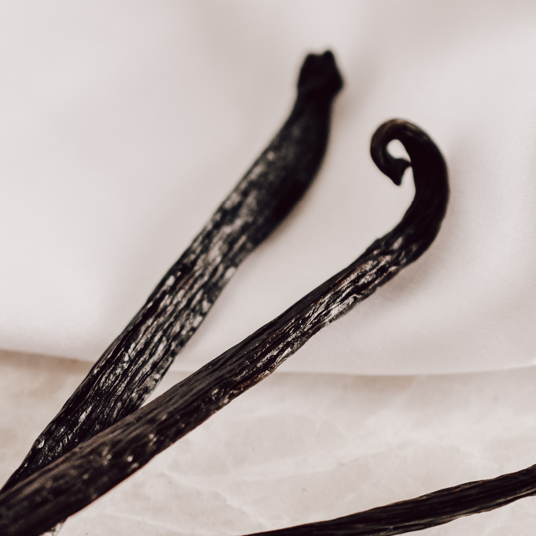 Vanilla Bean & Lavender Goat's Milk Bar Soap ✨🌿