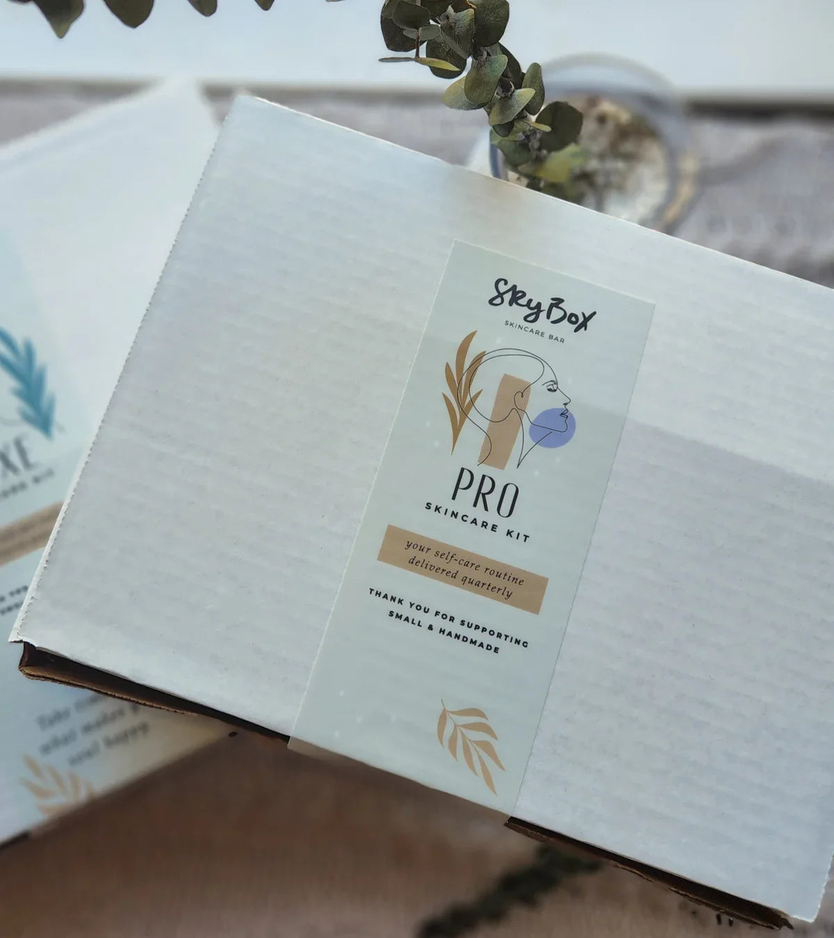 SkyBox Subscription Skincare Boxes 📦