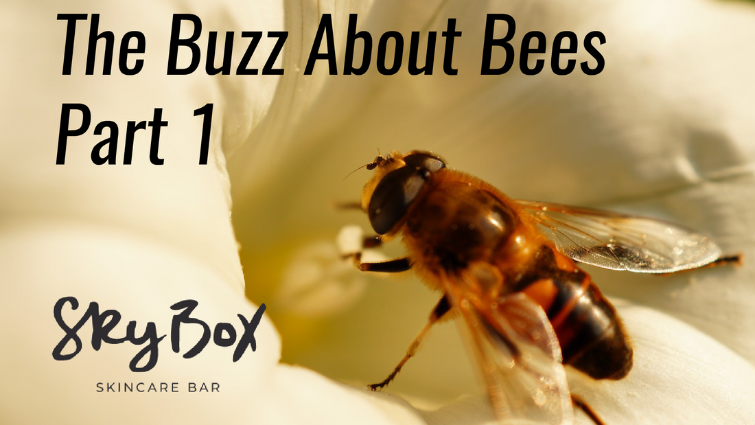 The Buzz About Bees: Part One