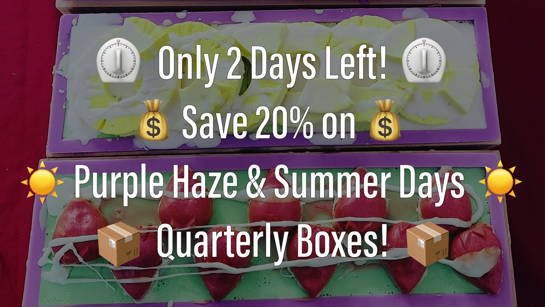 🌟 Only 2 Days Left! Save 20% on Purple Haze & Summer Days Quarterly Boxes! 📧💥
