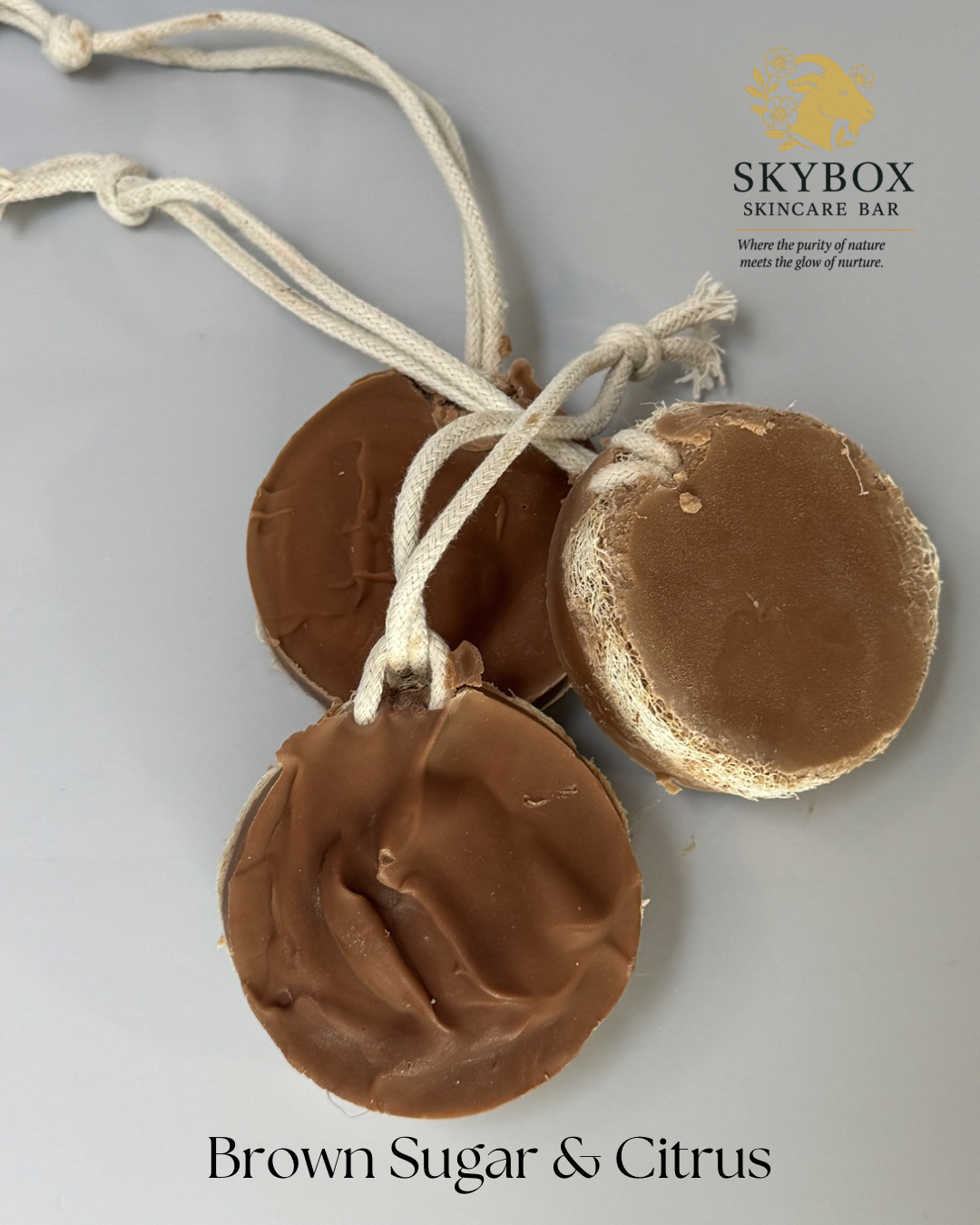 Brown Sugar & Citrus Loofah Soap